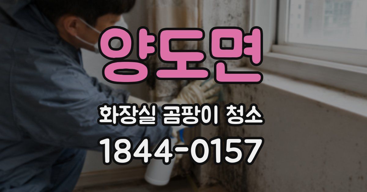 양도면 화장실 곰팡이 청소