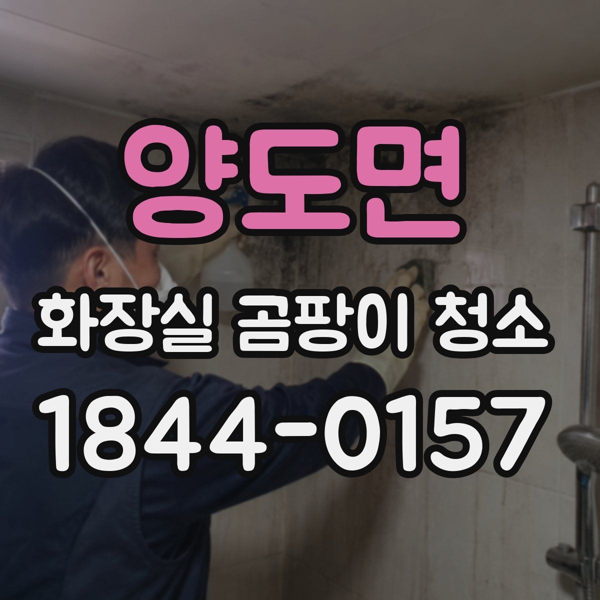 양도면 화장실 곰팡이 청소