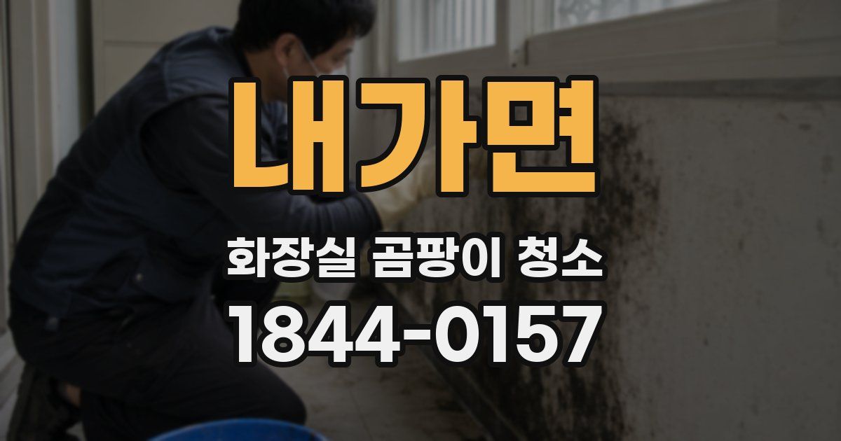 내가면 화장실 곰팡이 청소