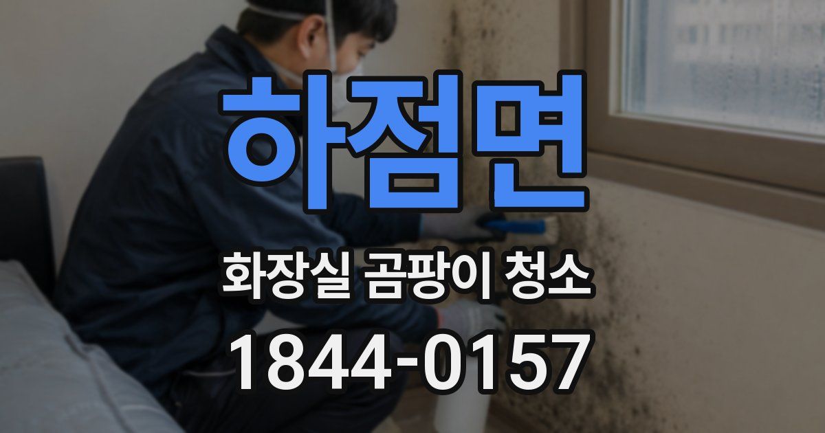 하점면 화장실 곰팡이 청소