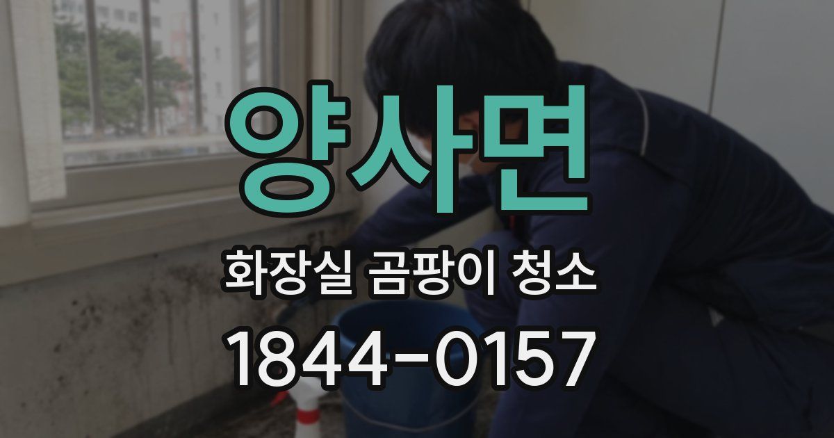양사면 화장실 곰팡이 청소