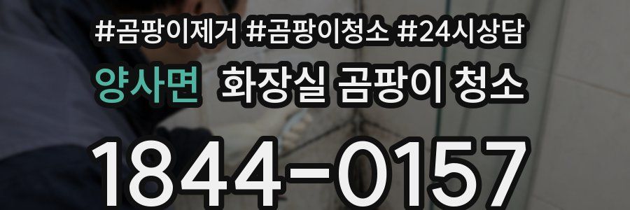 양사면 화장실 곰팡이 청소