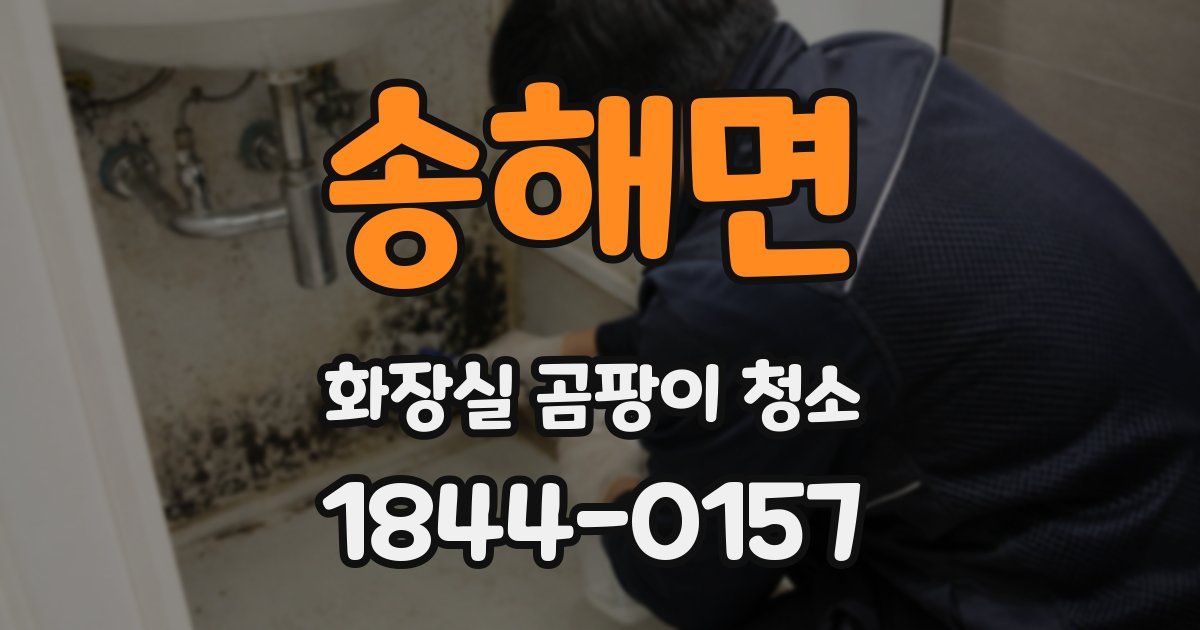 송해면 화장실 곰팡이 청소