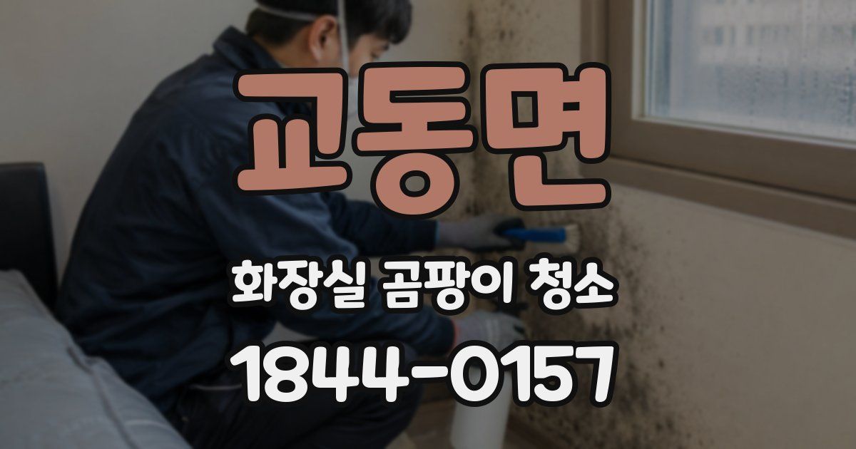 교동면 화장실 곰팡이 청소