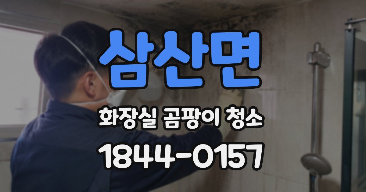 삼산면 화장실 곰팡이 청소