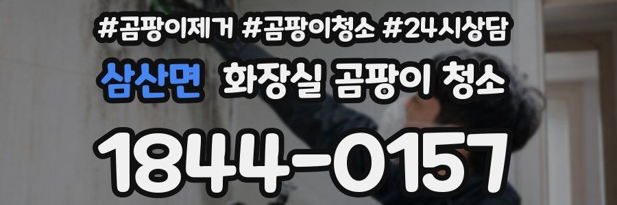 삼산면 화장실 곰팡이 청소