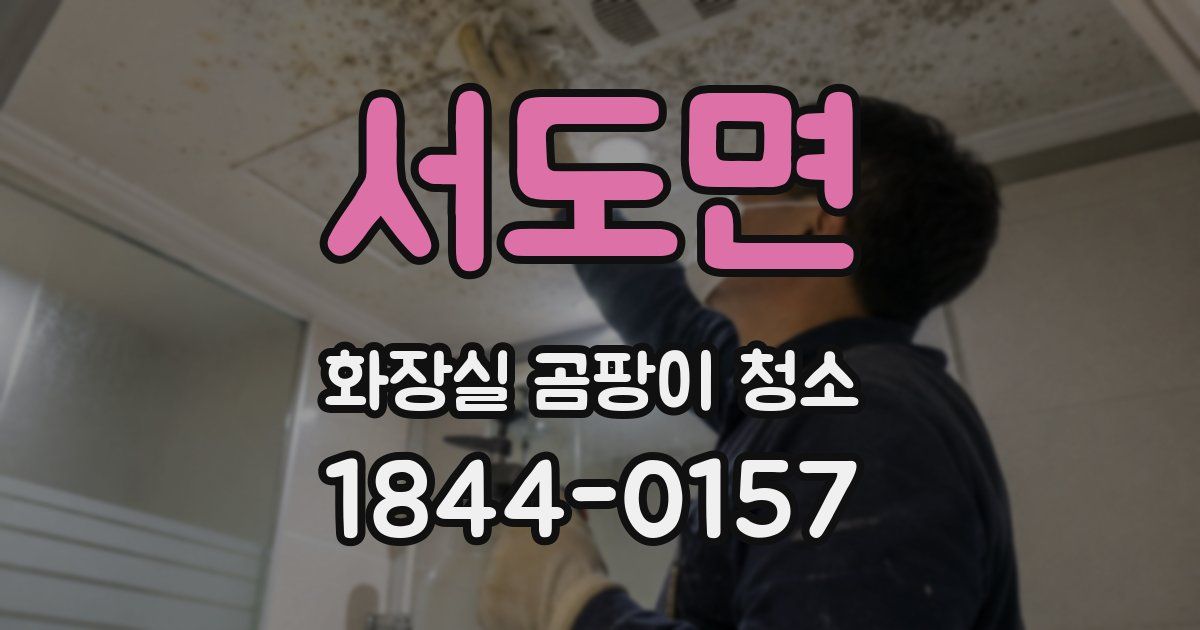 서도면 화장실 곰팡이 청소