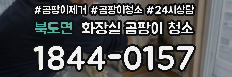 북도면 화장실 곰팡이 청소