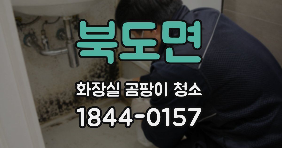 북도면 화장실 곰팡이 청소