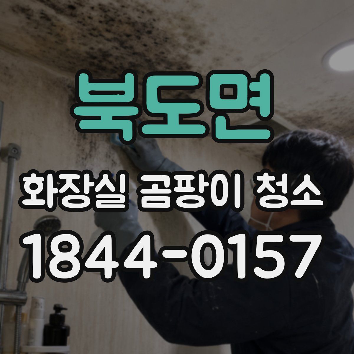 북도면 화장실 곰팡이 청소