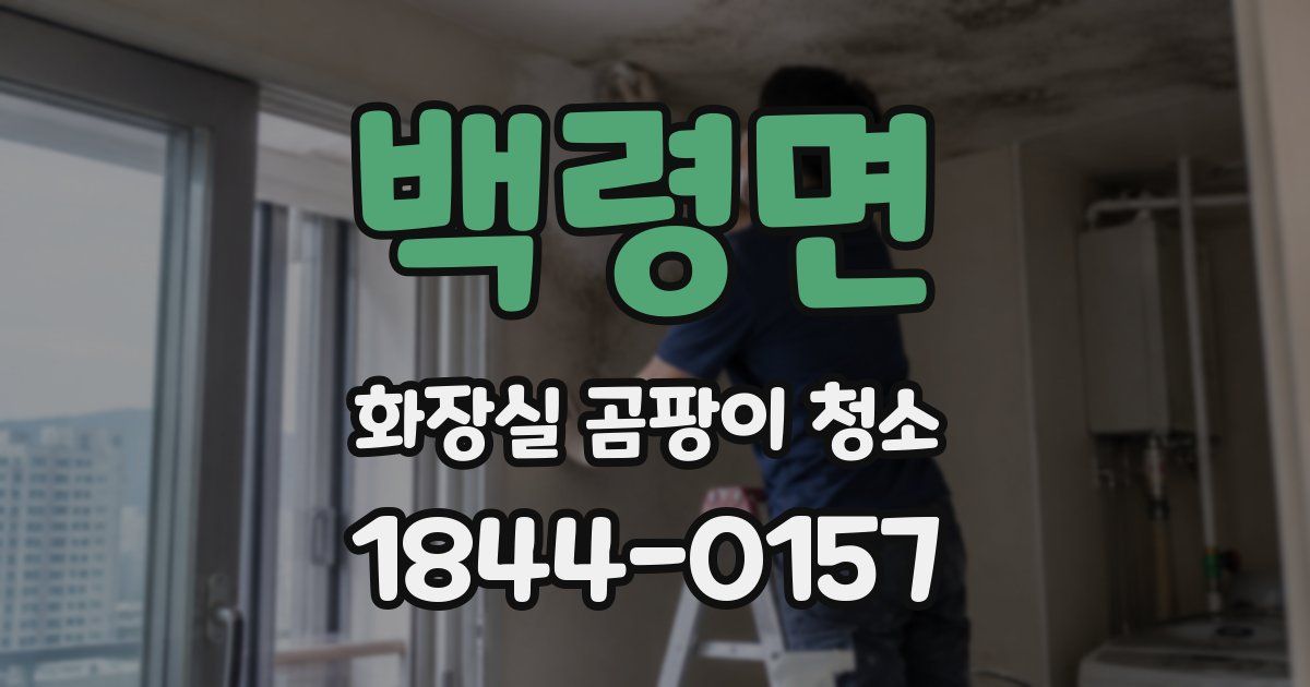 백령면 화장실 곰팡이 청소