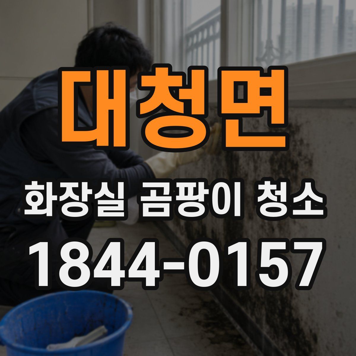대청면 화장실 곰팡이 청소