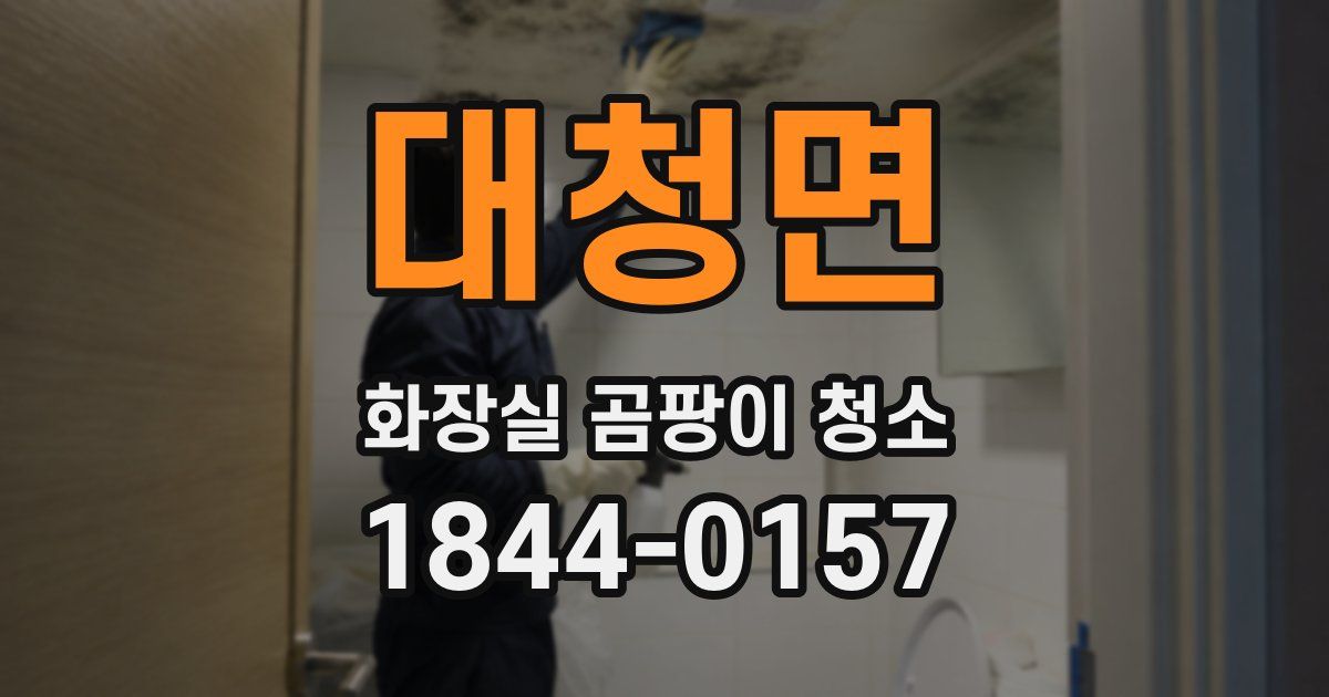 대청면 화장실 곰팡이 청소