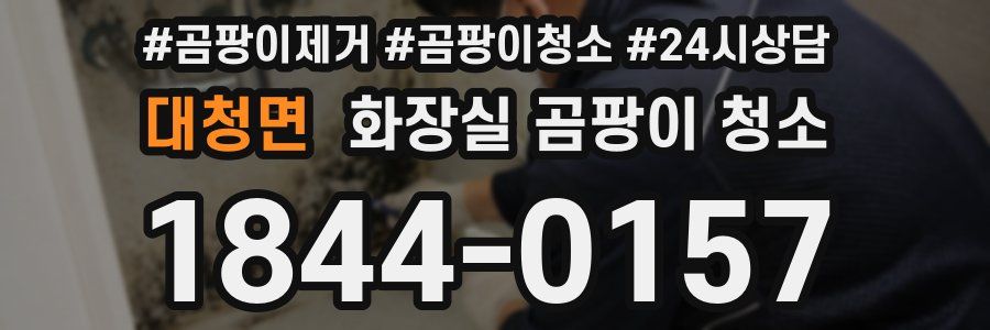 대청면 화장실 곰팡이 청소