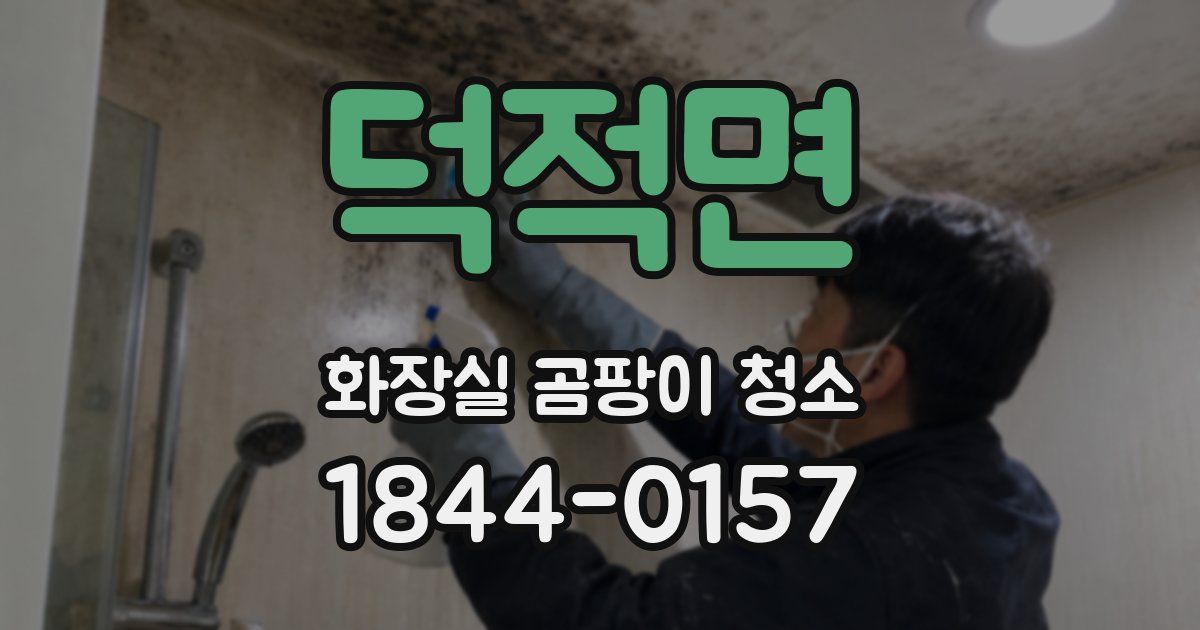 덕적면 화장실 곰팡이 청소