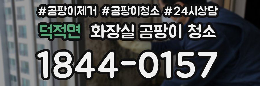 덕적면 화장실 곰팡이 청소