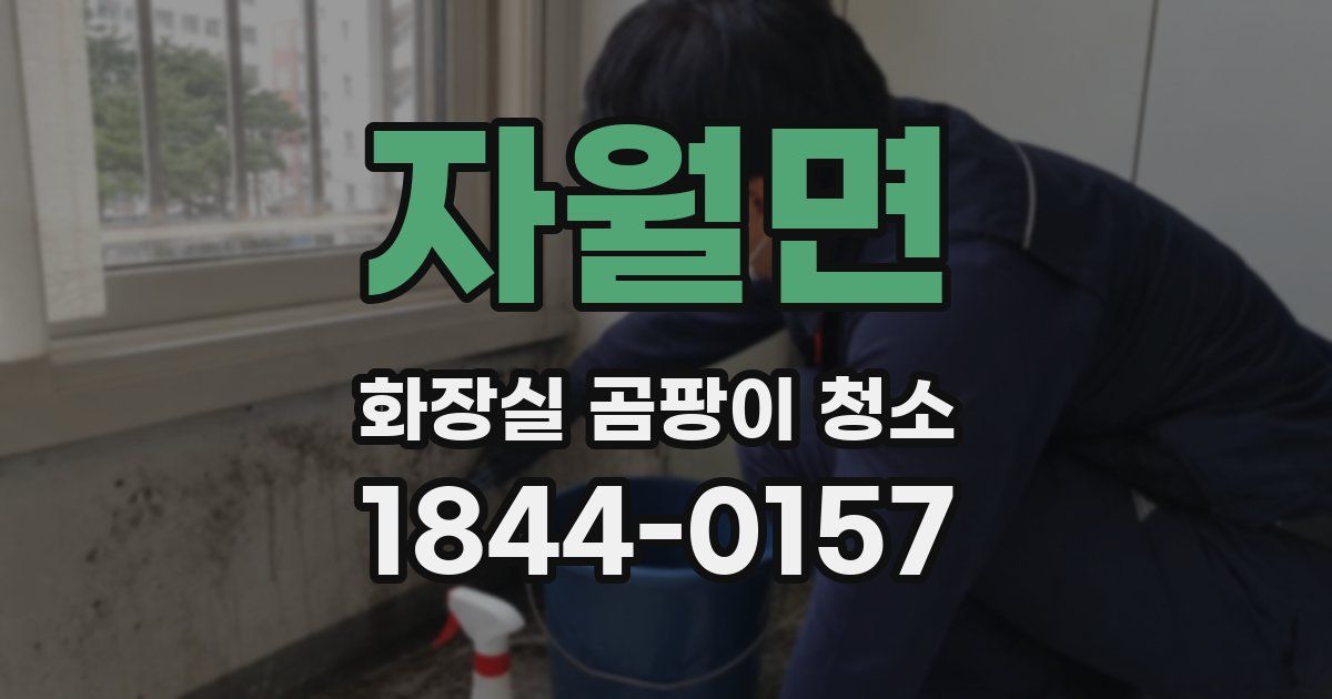 자월면 화장실 곰팡이 청소