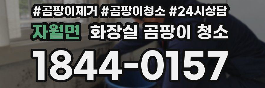 자월면 화장실 곰팡이 청소