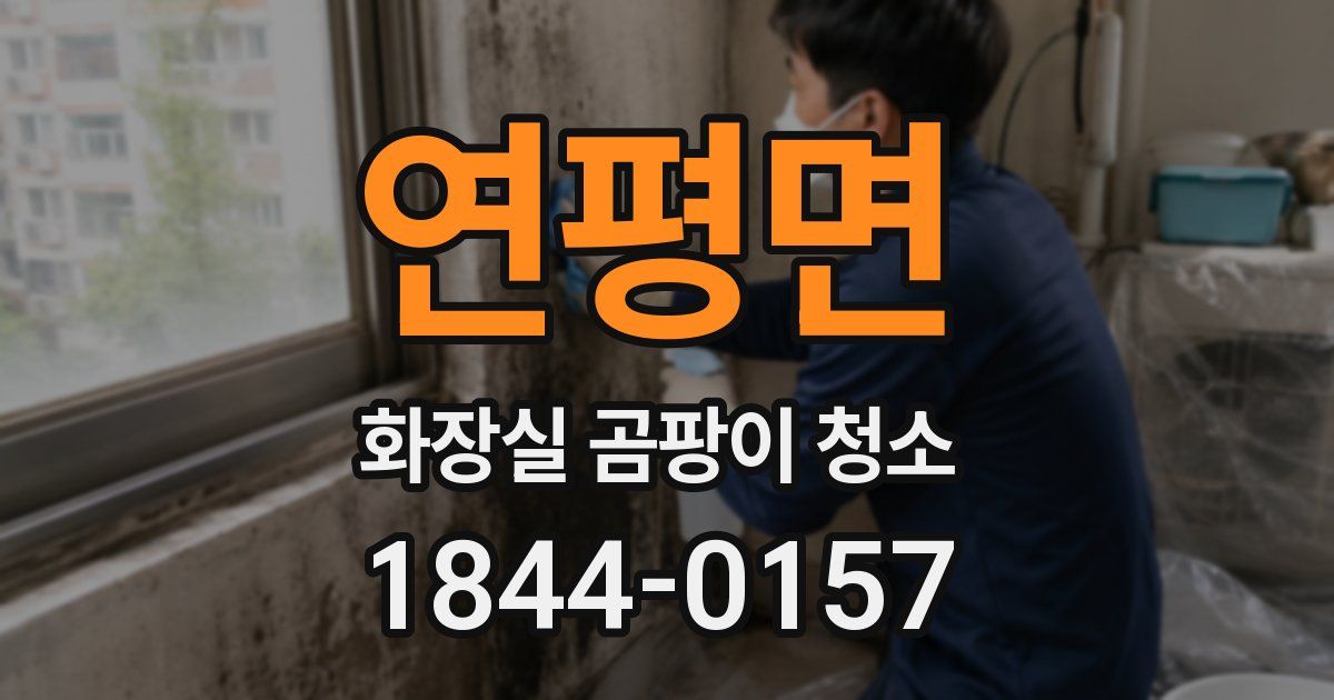 연평면 화장실 곰팡이 청소