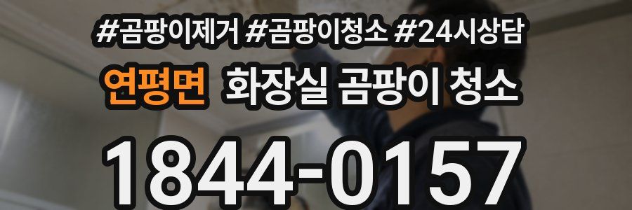 연평면 화장실 곰팡이 청소
