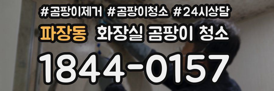 파장동 화장실 곰팡이 청소