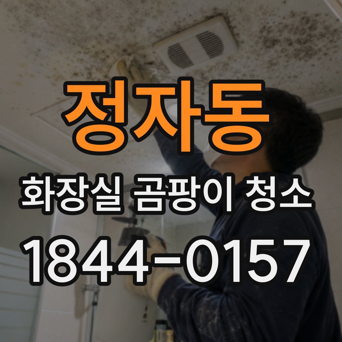 정자동 화장실 곰팡이 청소