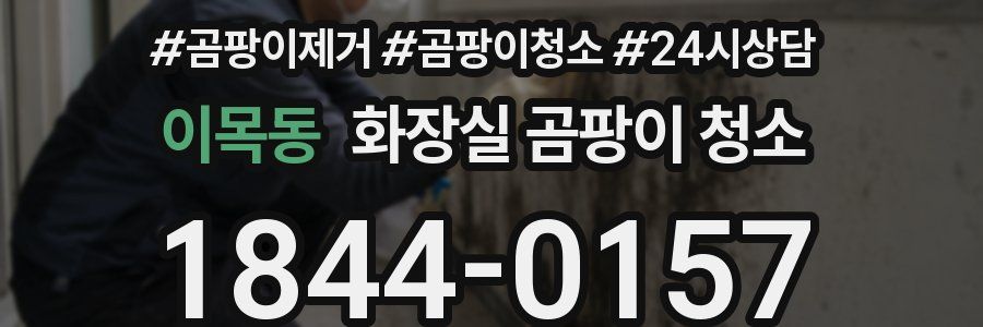이목동 화장실 곰팡이 청소