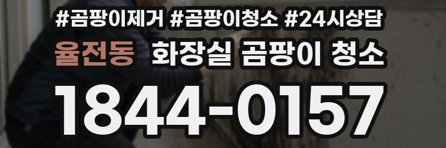 율전동 화장실 곰팡이 청소