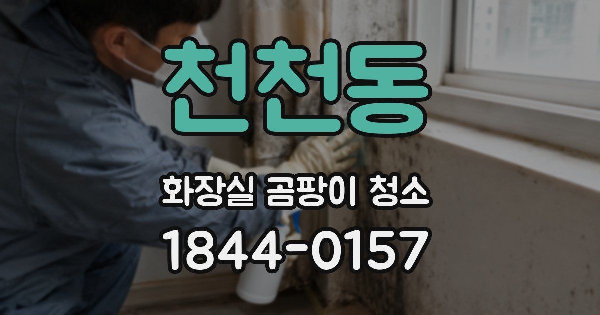 천천동 화장실 곰팡이 청소