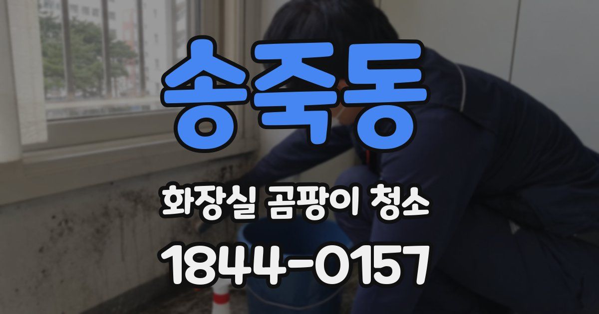 송죽동 화장실 곰팡이 청소