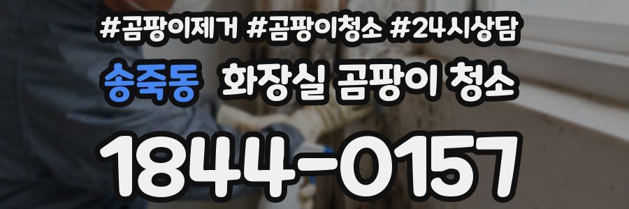 송죽동 화장실 곰팡이 청소