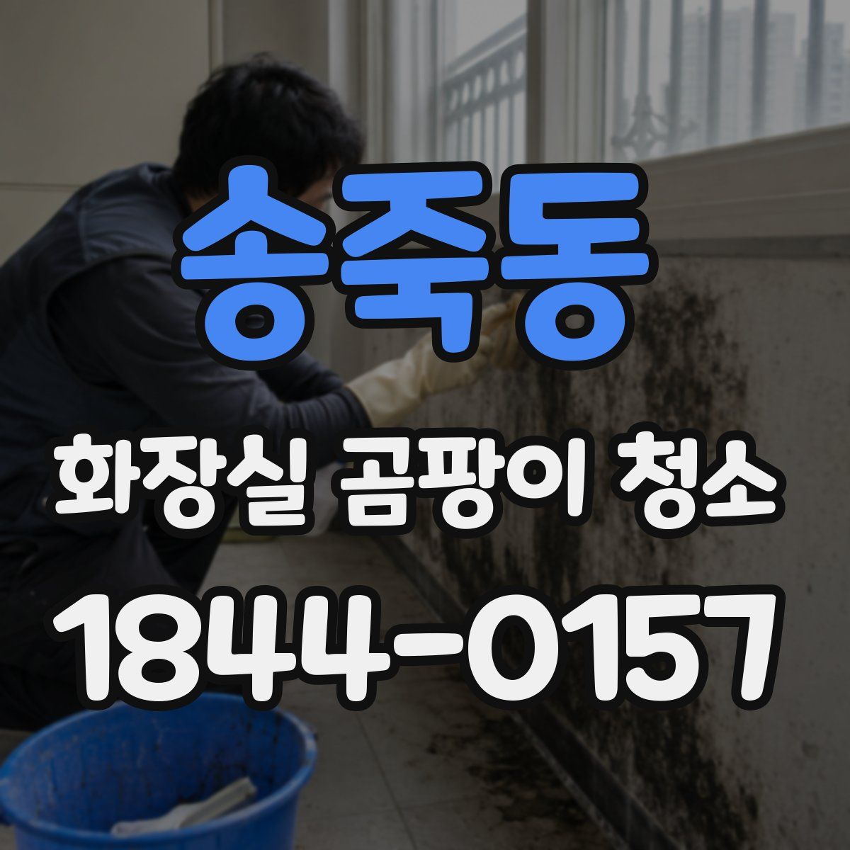 송죽동 화장실 곰팡이 청소