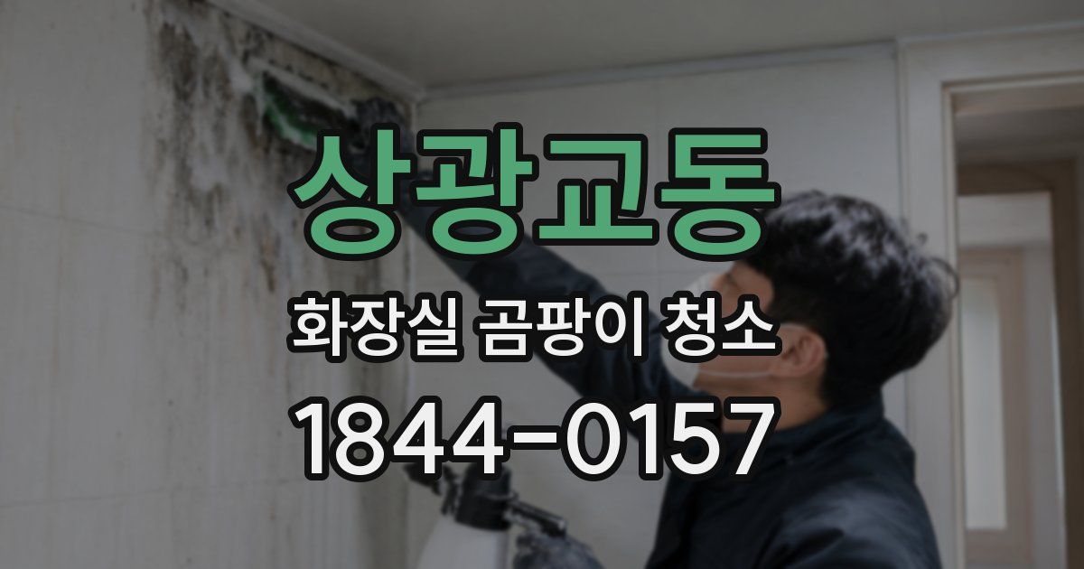 상광교동 화장실 곰팡이 청소