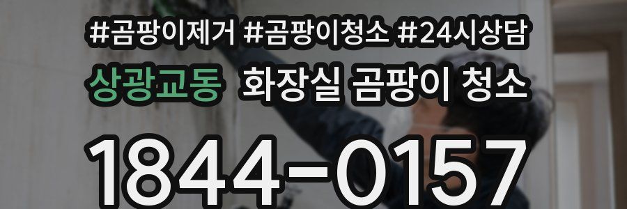 상광교동 화장실 곰팡이 청소