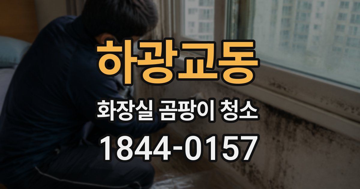 하광교동 화장실 곰팡이 청소