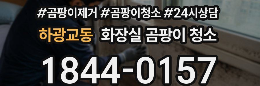하광교동 화장실 곰팡이 청소