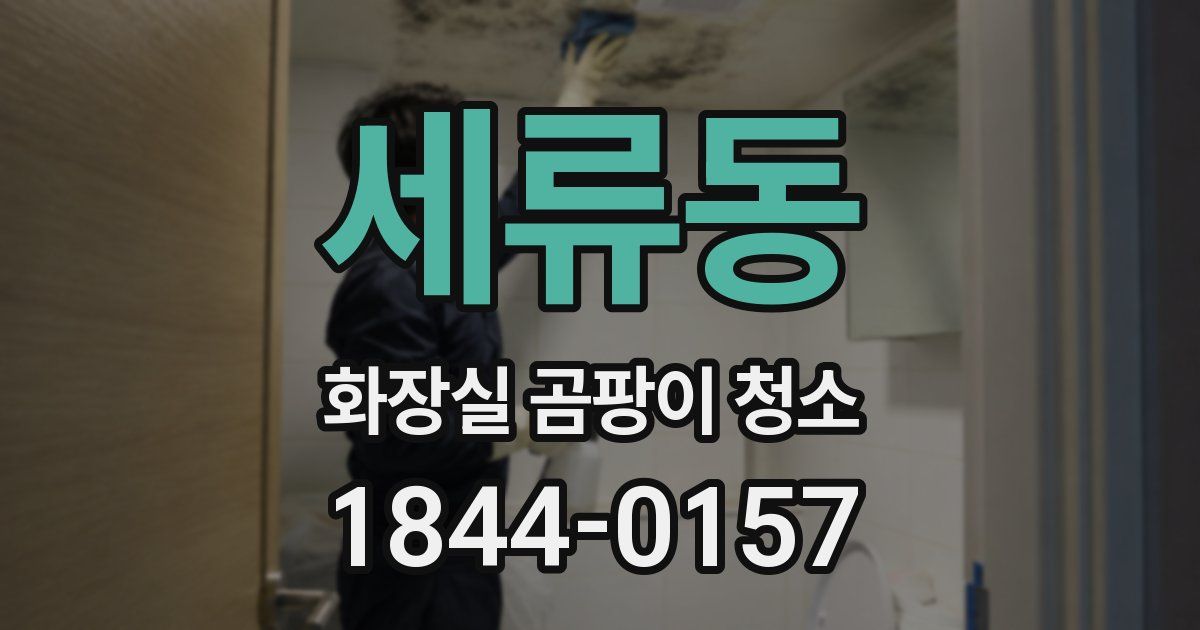 세류동 화장실 곰팡이 청소