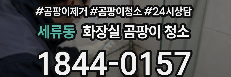 세류동 화장실 곰팡이 청소