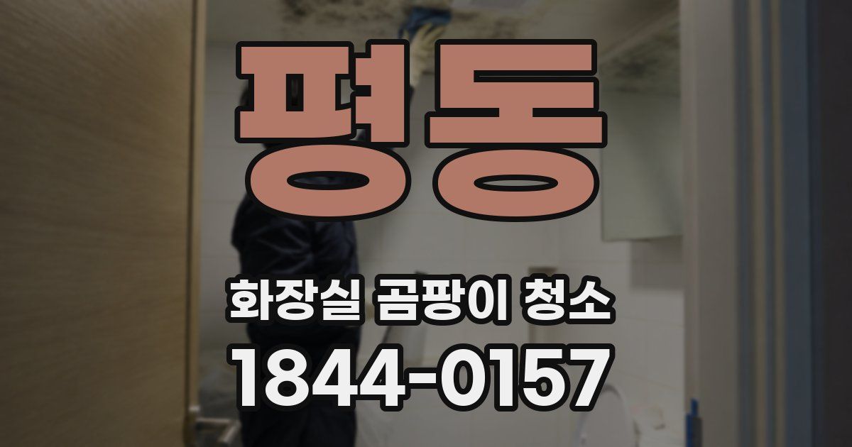 평동 화장실 곰팡이 청소