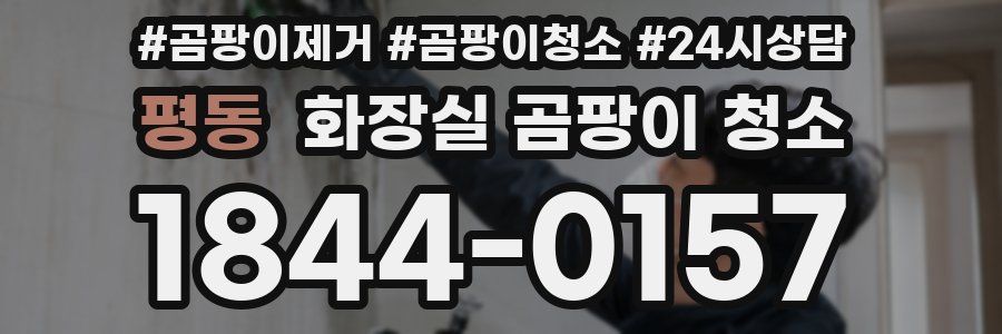 평동 화장실 곰팡이 청소