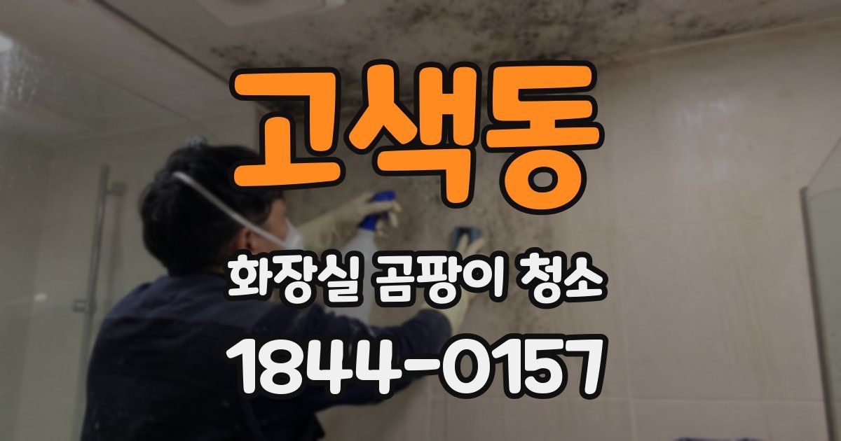 고색동 화장실 곰팡이 청소