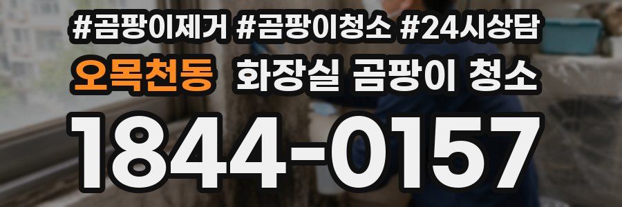 오목천동 화장실 곰팡이 청소