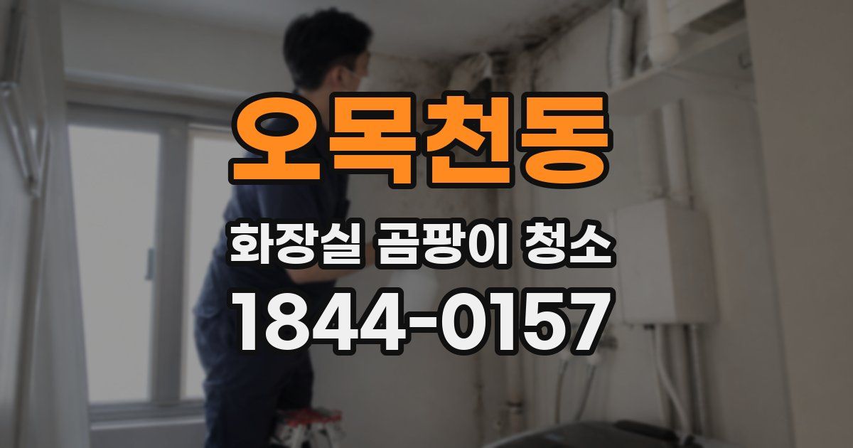 오목천동 화장실 곰팡이 청소
