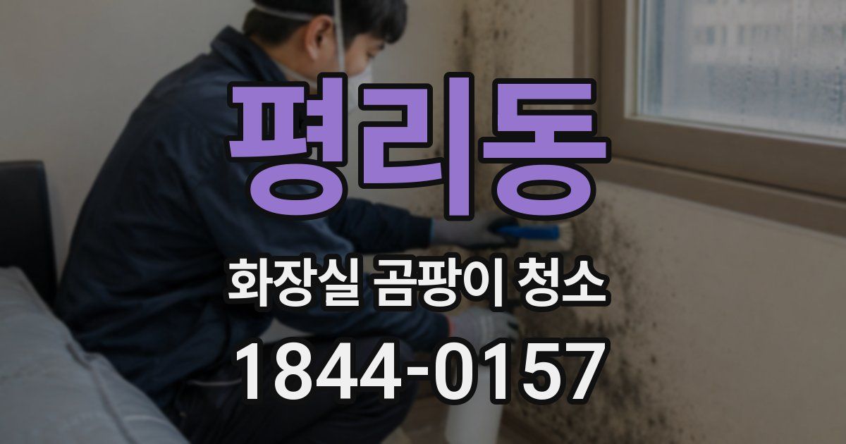 평리동 화장실 곰팡이 청소