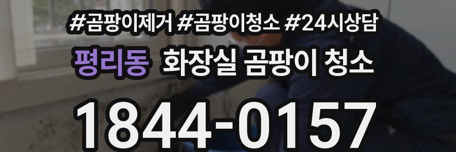 평리동 화장실 곰팡이 청소