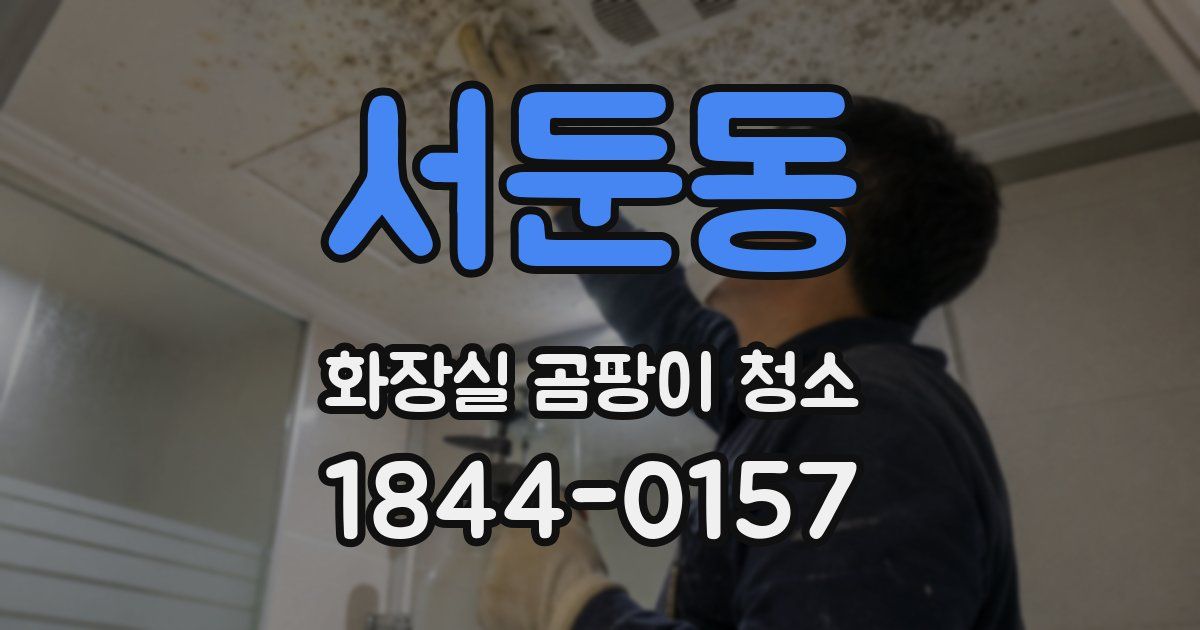 서둔동 화장실 곰팡이 청소