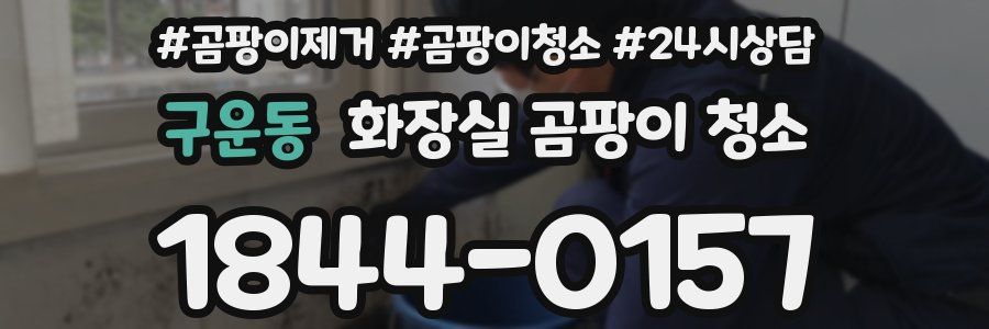 구운동 화장실 곰팡이 청소