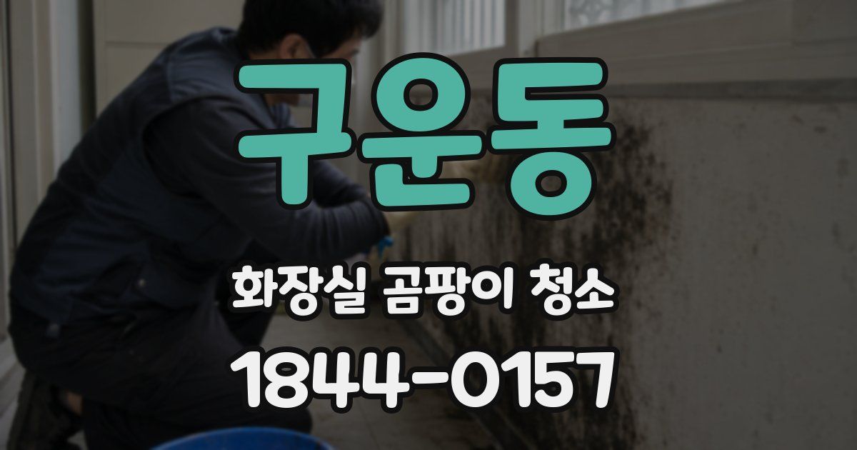 구운동 화장실 곰팡이 청소