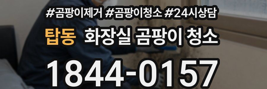 탑동 화장실 곰팡이 청소