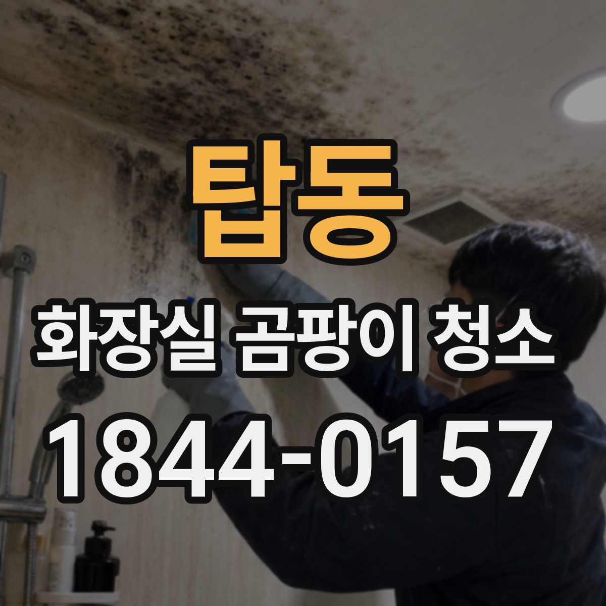 탑동 화장실 곰팡이 청소